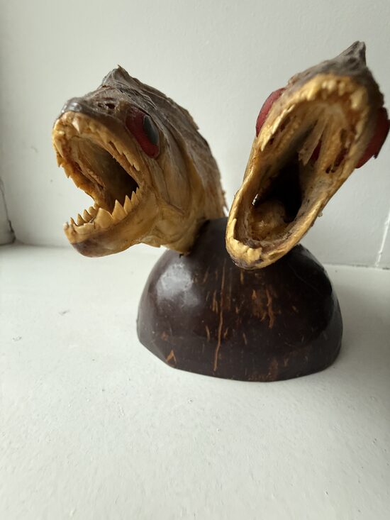 Пираньи (декор)